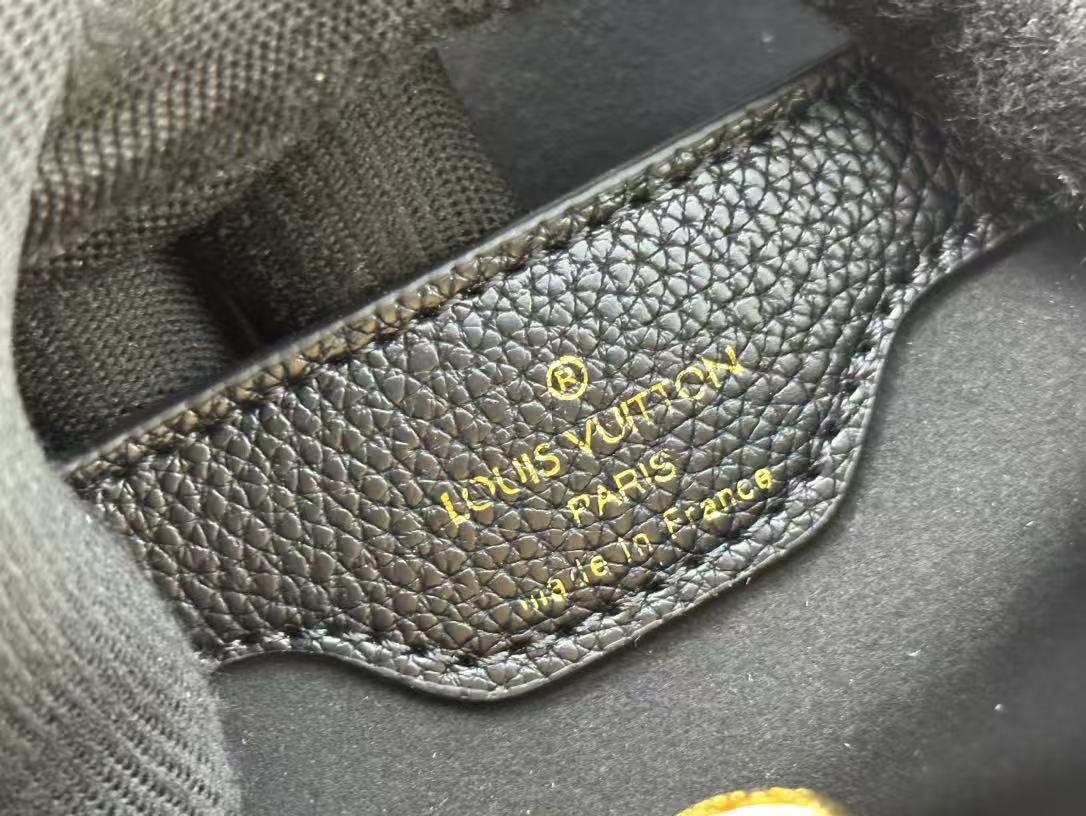 Louis Vuitton Capucines Bag