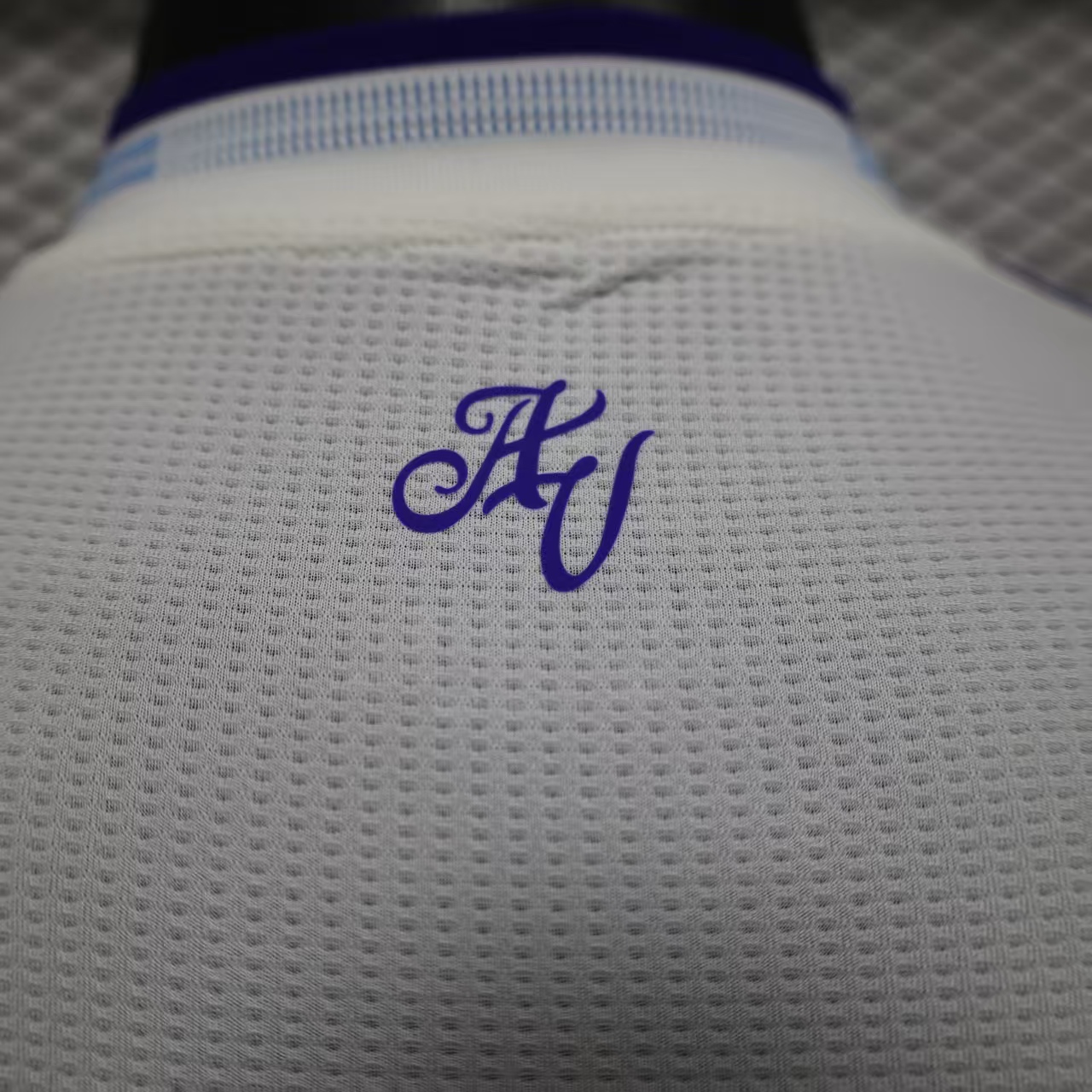 2025/2026 Aston Villa third Football Shirt （Player）