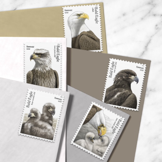 Bald Eagle: Hatchling to Adult Stamps