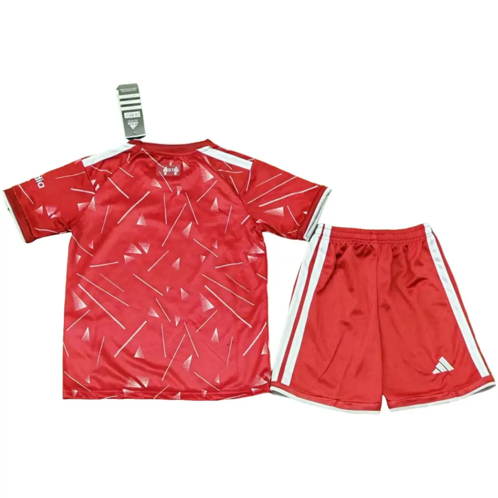 {{product_name}} High Quality Replica Football Jersey