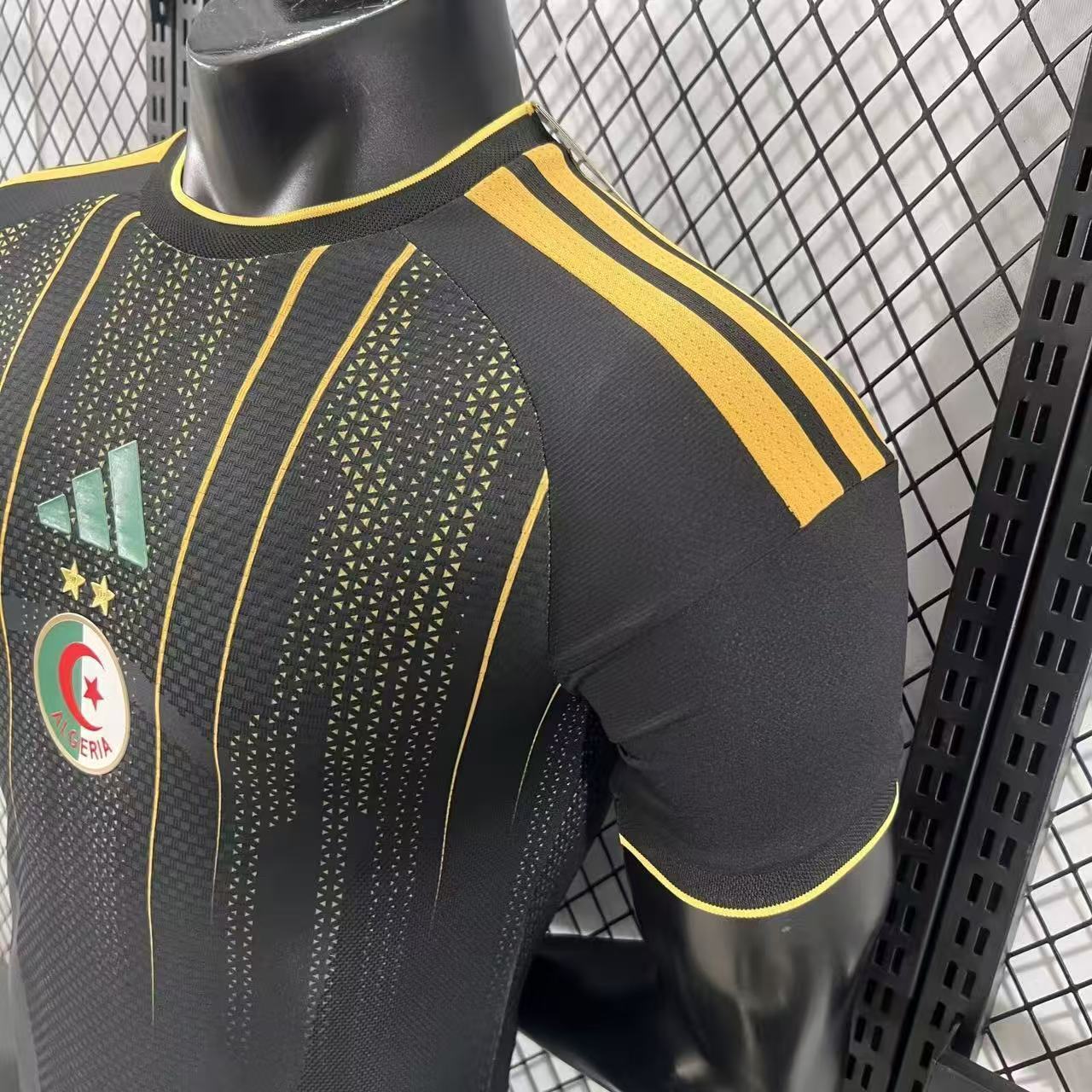 2026 Algeria Pre-match Training Football Shirt (Player Edition)