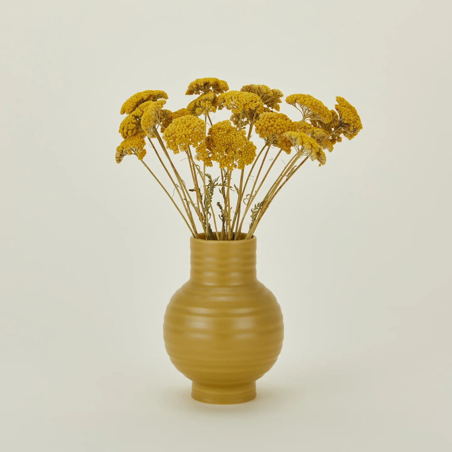 Dried Yarrow