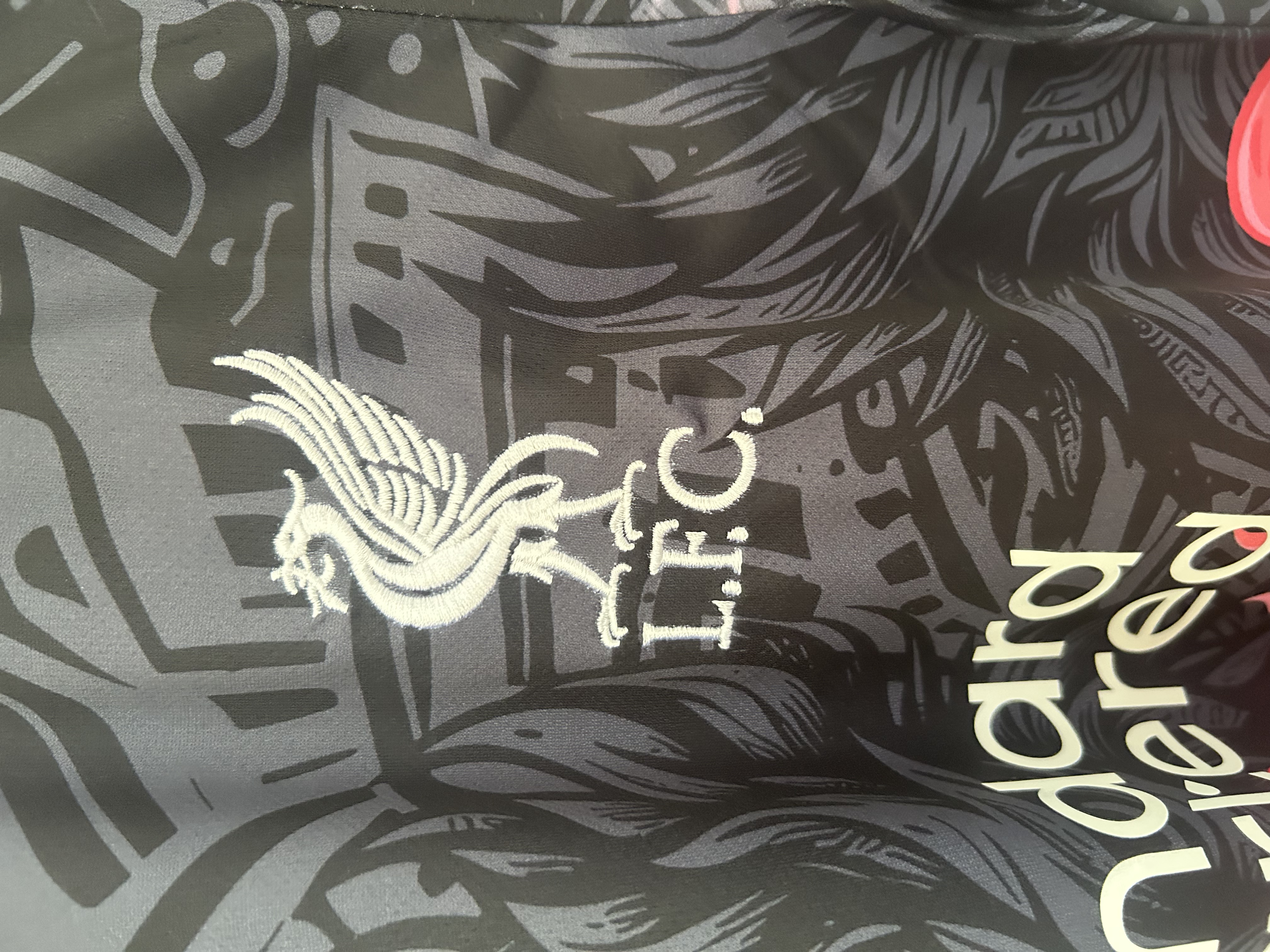 2025/2026 Liverpool Black and Gold Football Shirt (Fans)