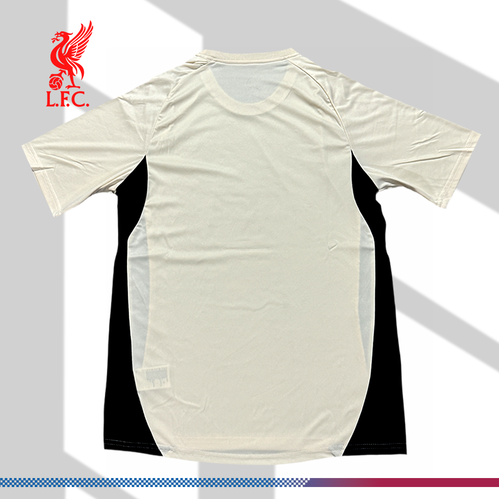 2025/2026 Liverpool Training Football Jersey (Fans)