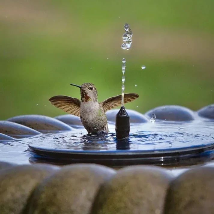 🎁☀️Solar Fountain, Solar Powered Bird Bath Fountain Pump with 4 Nozzles 1.4W Solar Panel Kit Water Pump, Outdoor Watering Submersible Pump for Pond, Pool, Garden, Fish Tank🌊✨
