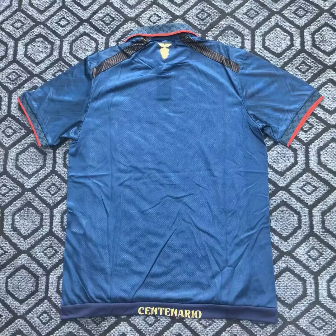 {{product_name}} High Quality Replica Football Jersey