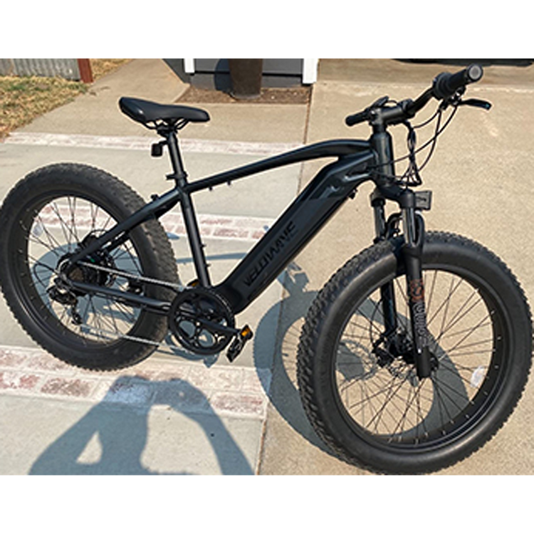 electric bicycle