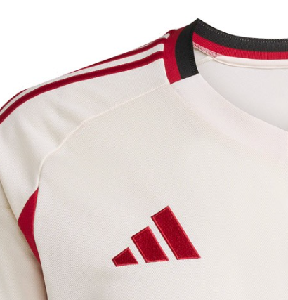 2025/2026 Liverpool Away Long Sleeve Football Jersey (Fans)