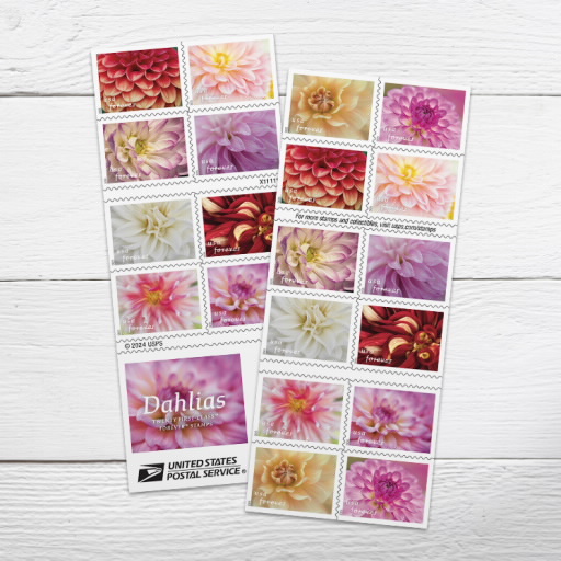 Dahlias Stamps Forever 78c | Multiple Stamp Designs