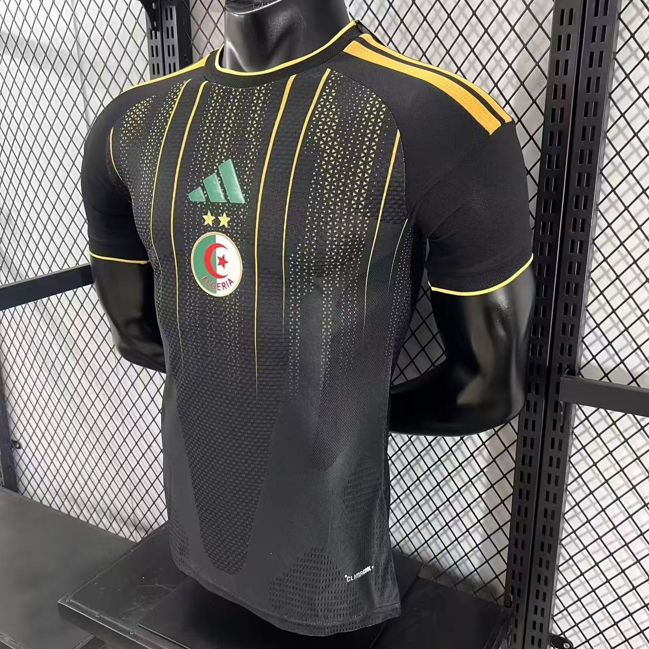 2026 Algeria Pre-match Training Football Shirt (Player Edition)