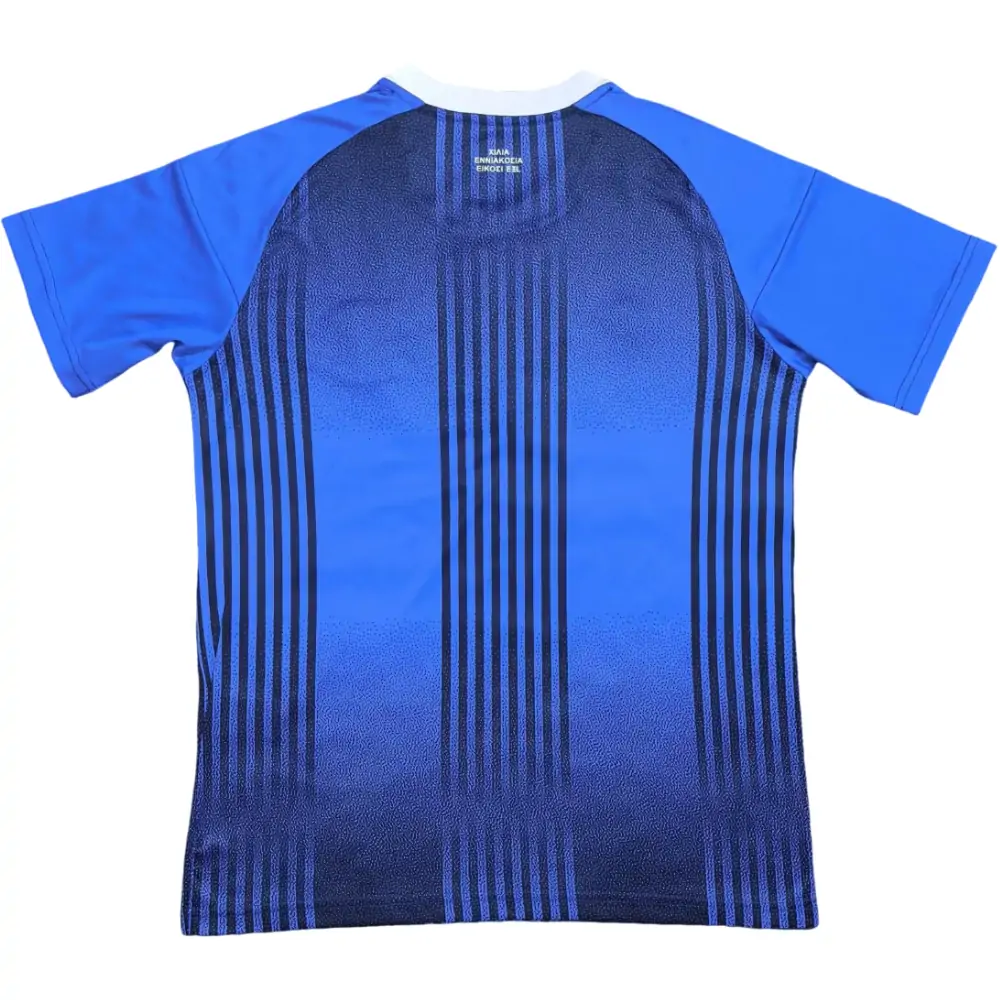 {{product_name}} High Quality Replica Football Jersey