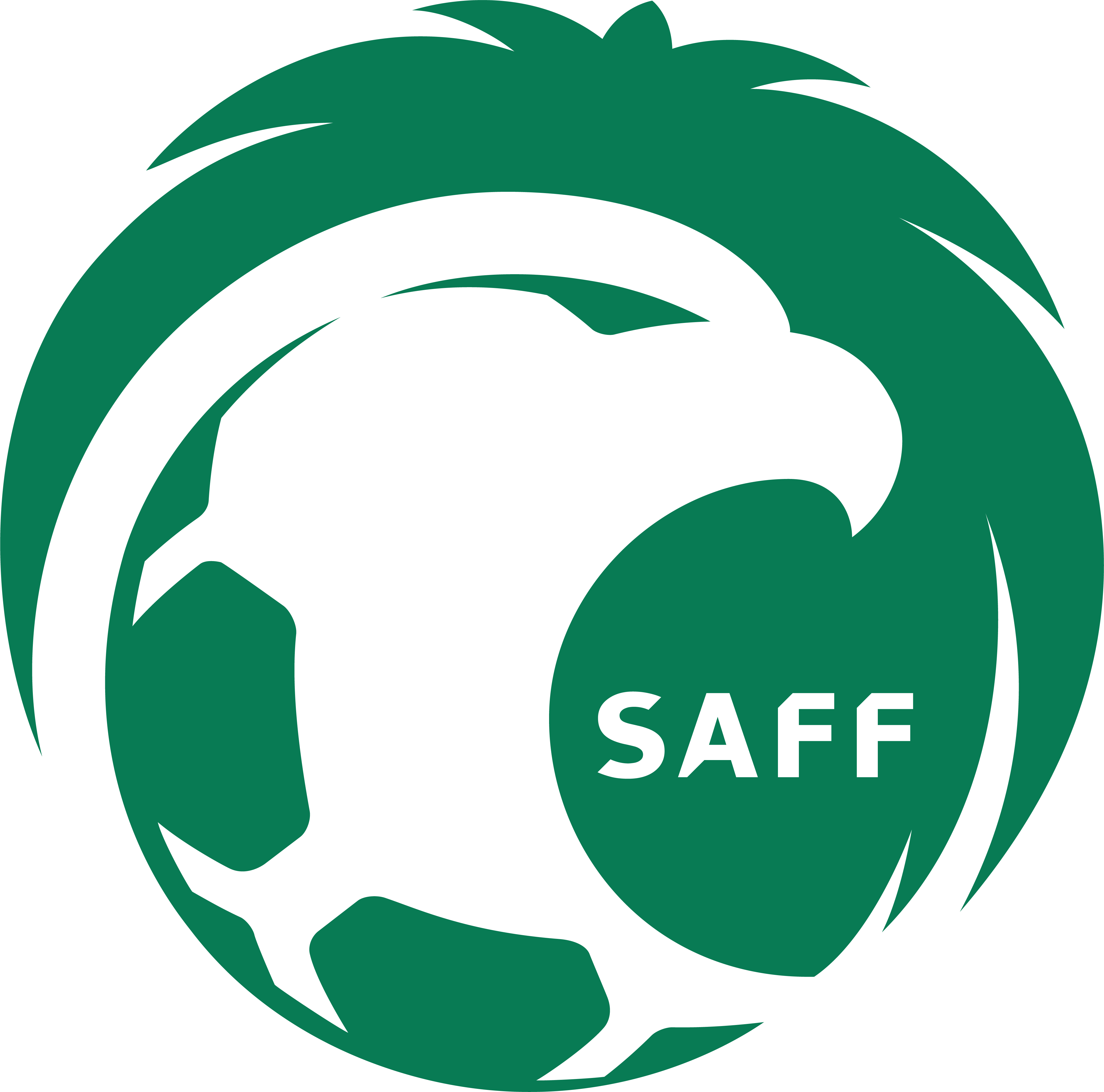 Saudi arabia NT