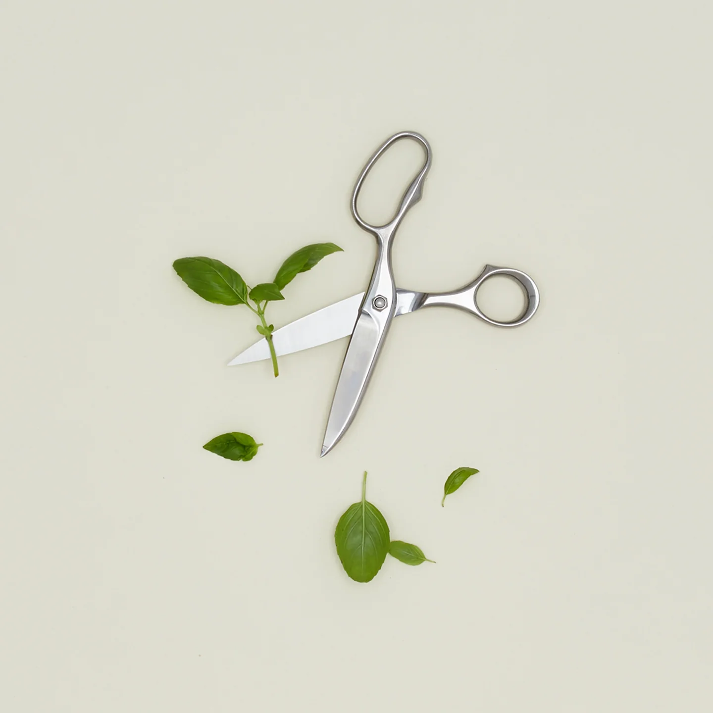 Professional Kitchen Scissors