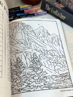 🚚Free Shipping！🎉This Week Promotions🎉-Color By Number For Adults