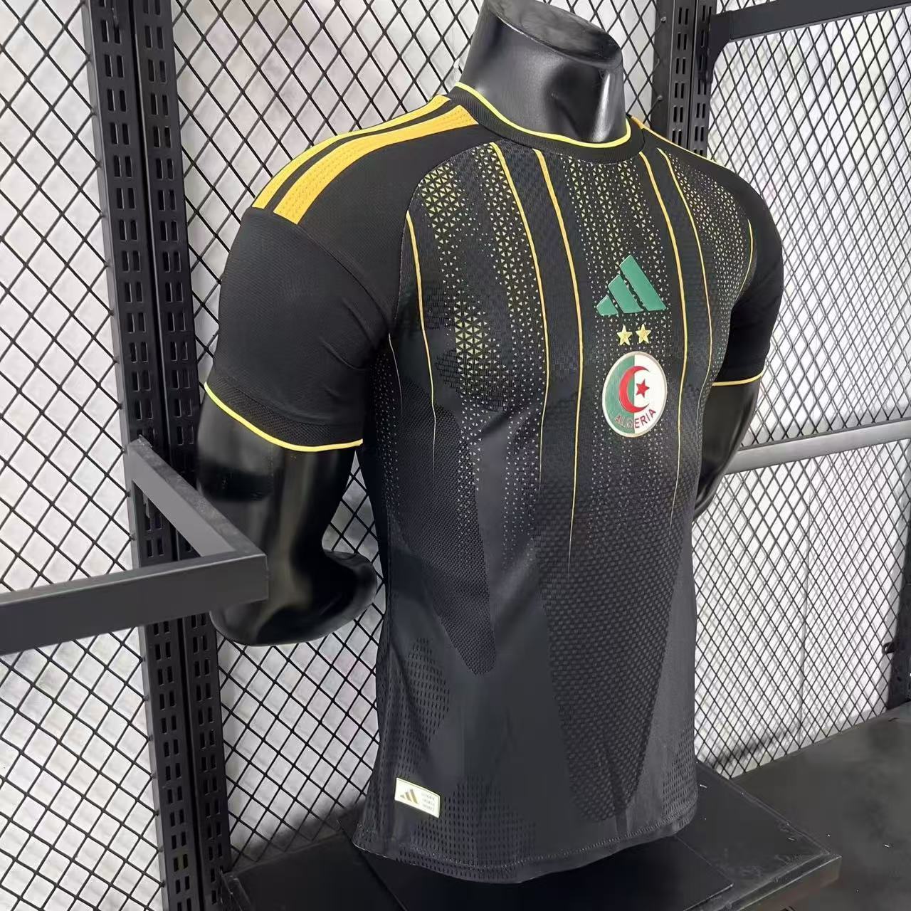 2026 Algeria Pre-match Training Football Shirt (Player Edition)