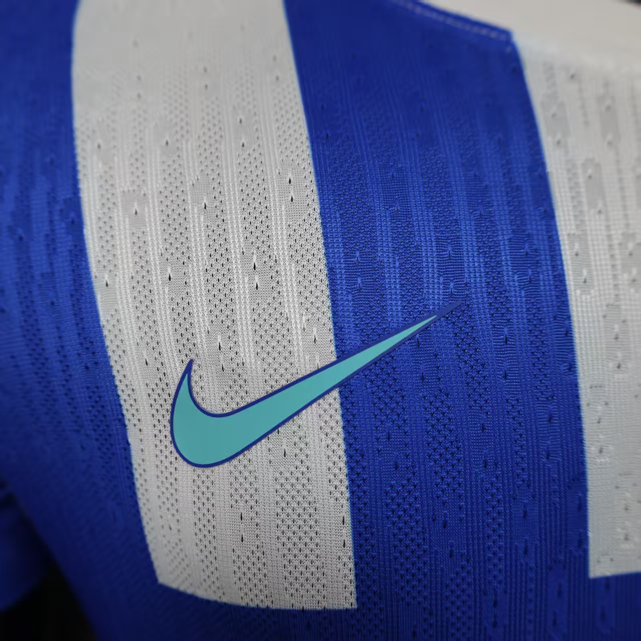 2025/2026 Brighton Home Football Shirt (Player Edition)