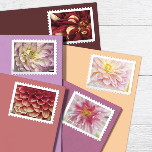 Dahlias Stamps Forever 78c | Multiple Stamp Designs