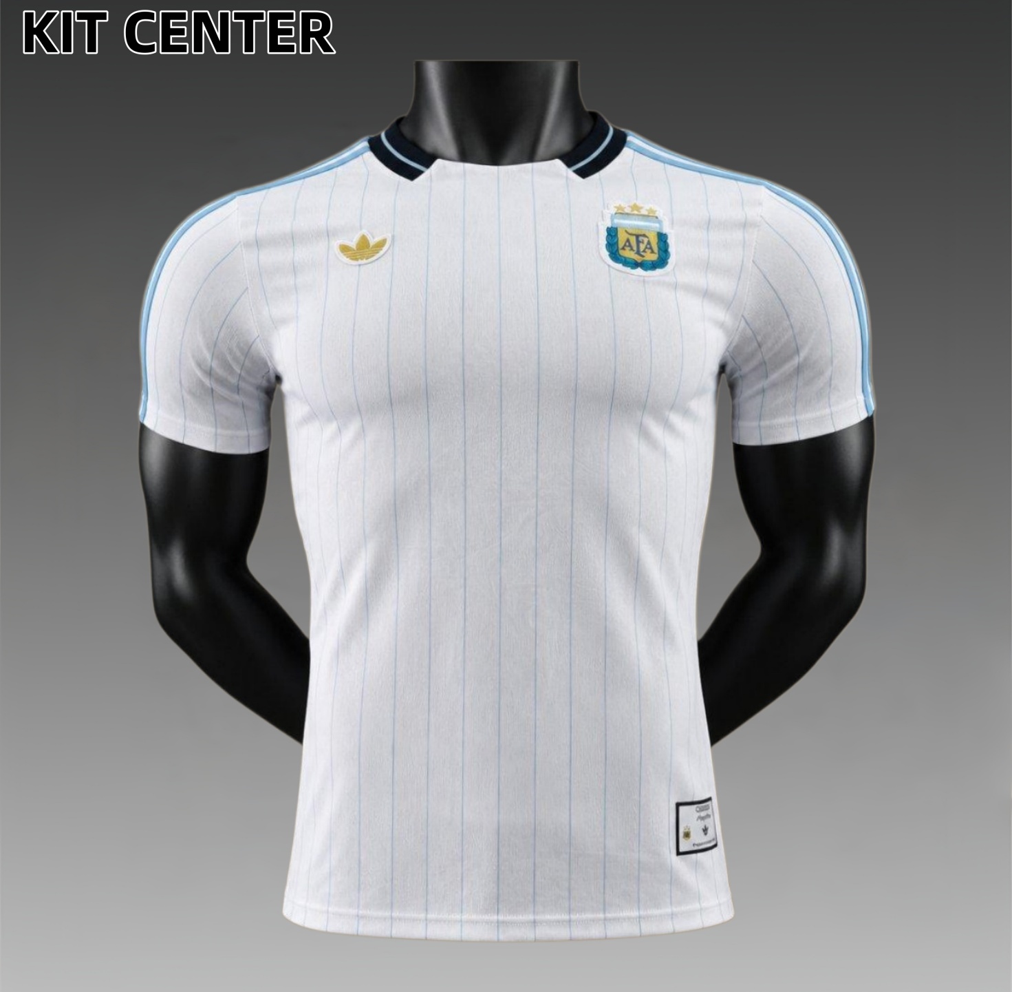 2026 2027 Argentina training suit Football Shirt (Player Edition)
