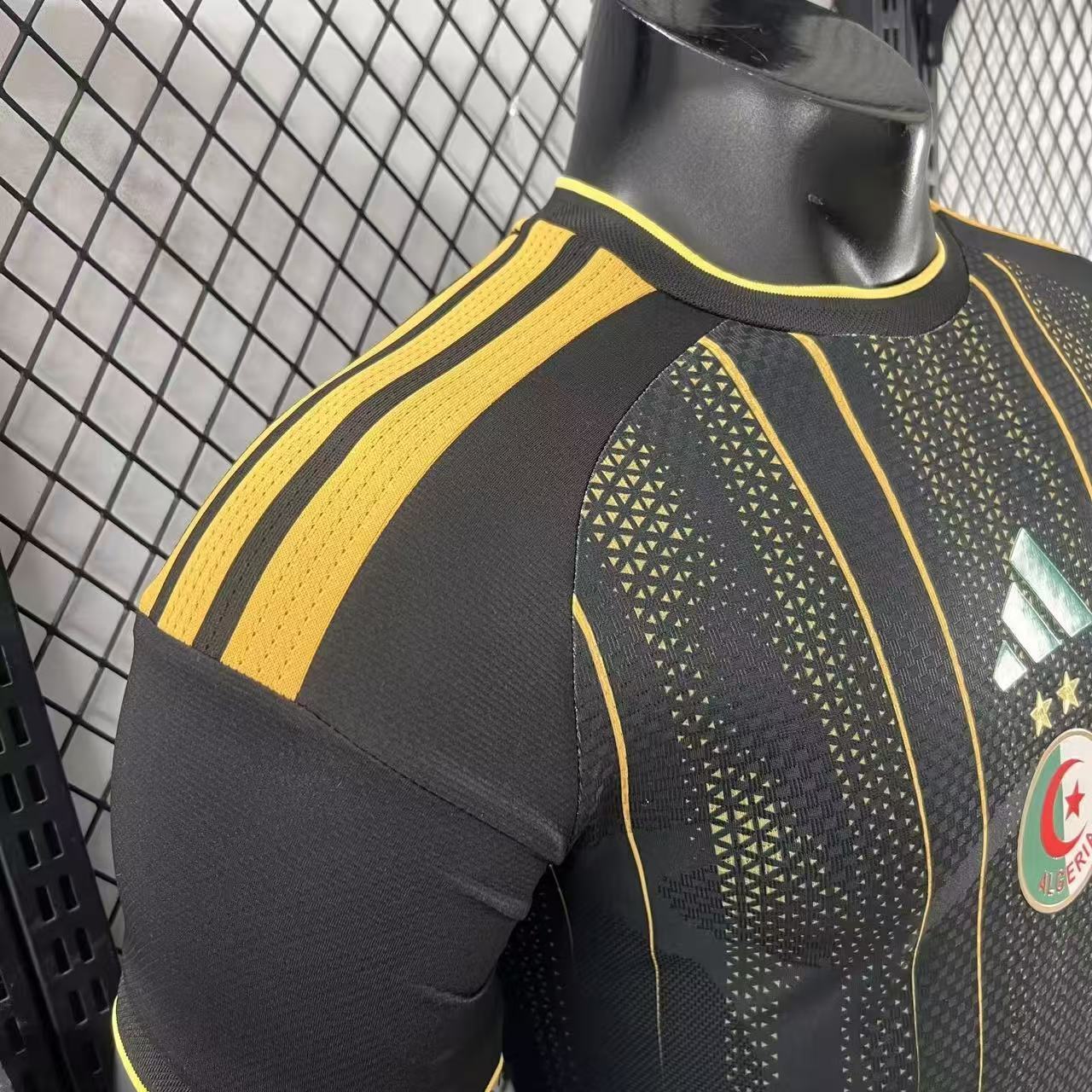 2026 Algeria Pre-match Training Football Shirt (Player Edition)