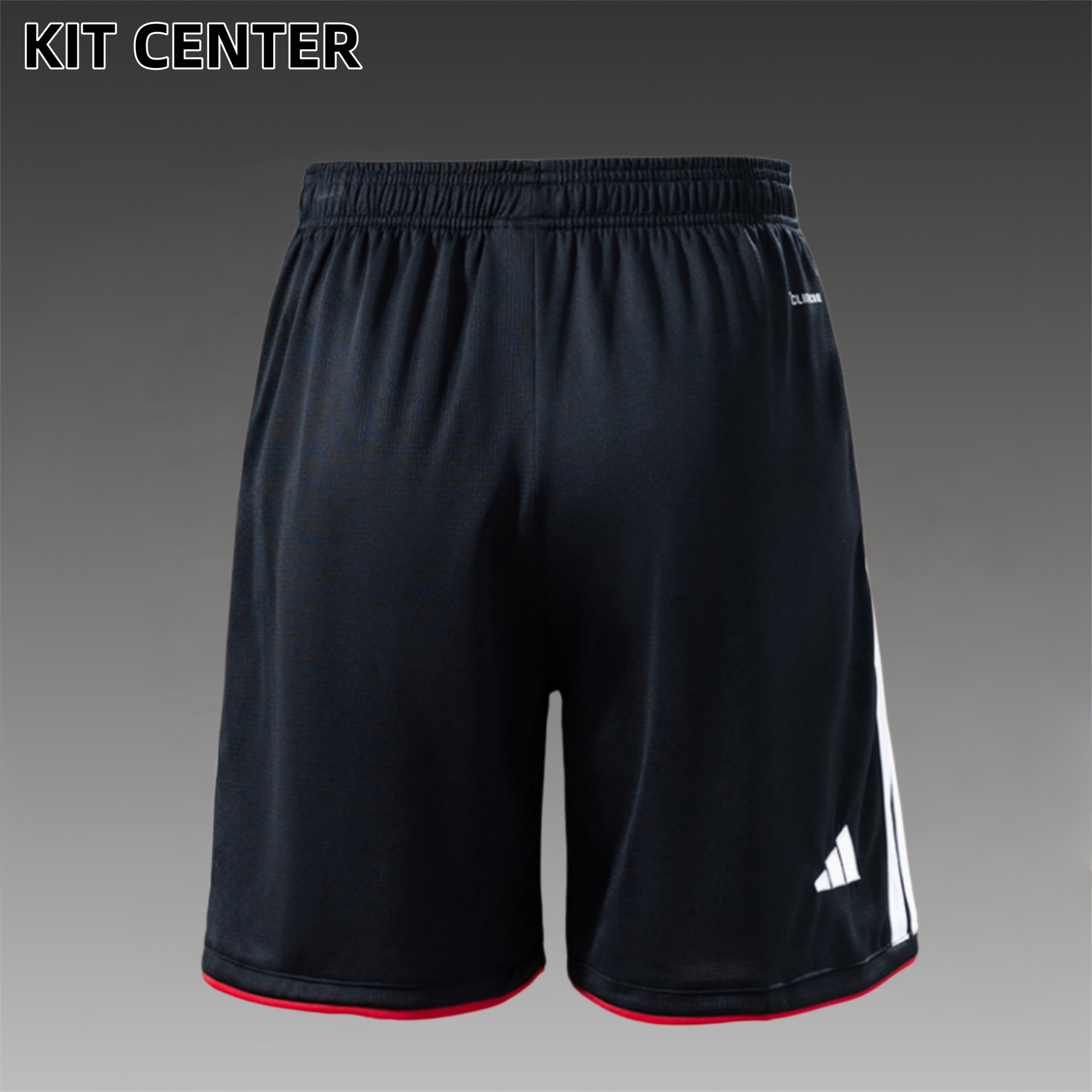 2026  Germany Home Shorts