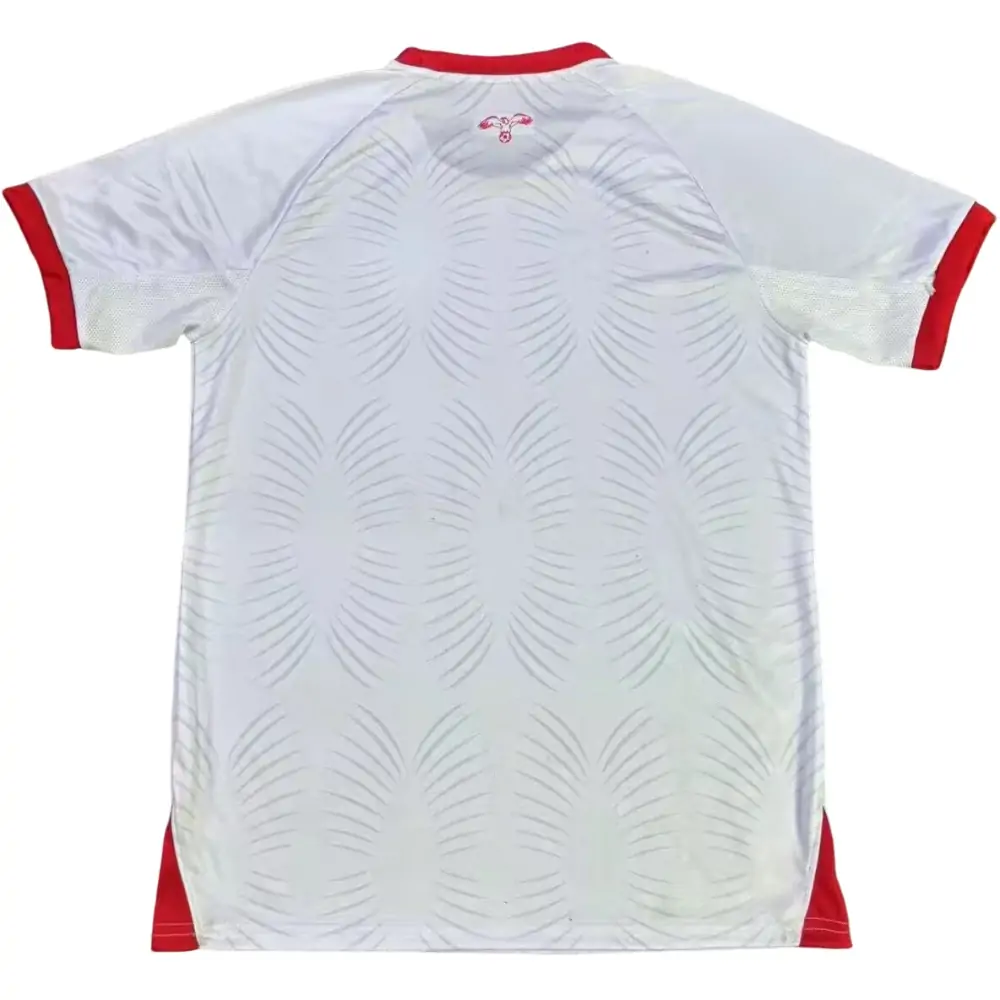 {{product_name}} High Quality Replica Football Jersey