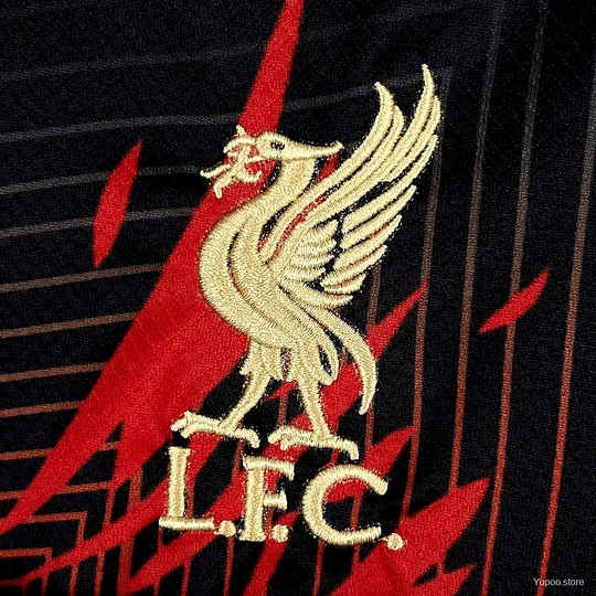 2025/2026 Liverpool Special Edition Football Jersey (Fans)