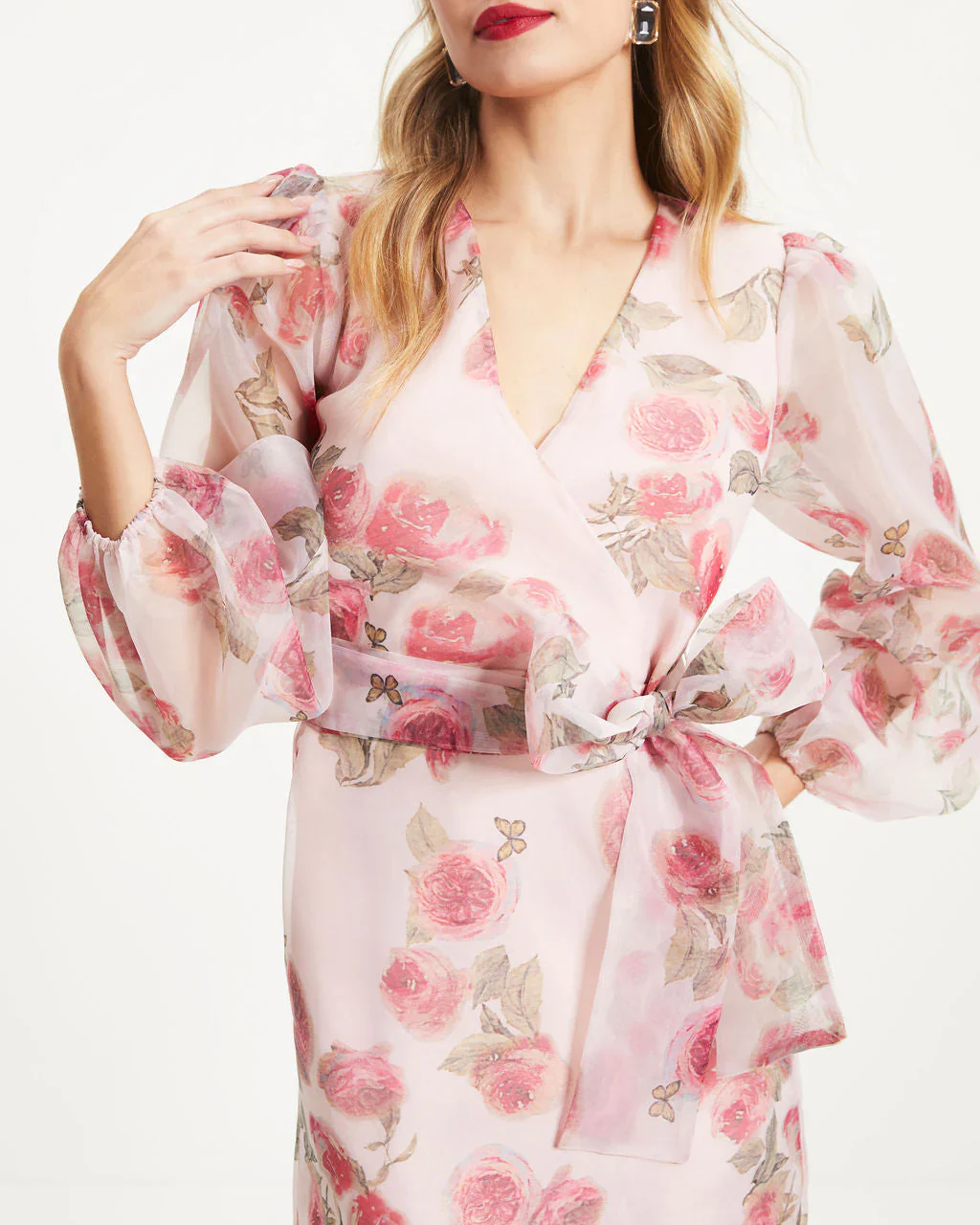 Unexpected Butterflies Floral Organza Mini Dress