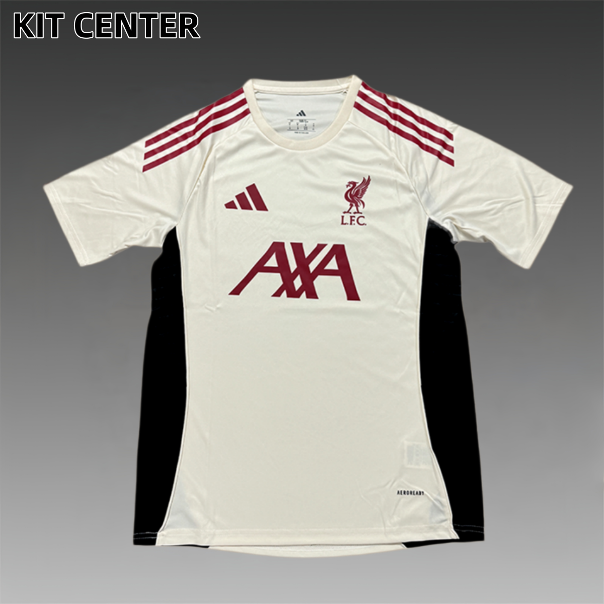 2025/2026 Liverpool Training Football Jersey (Fans)