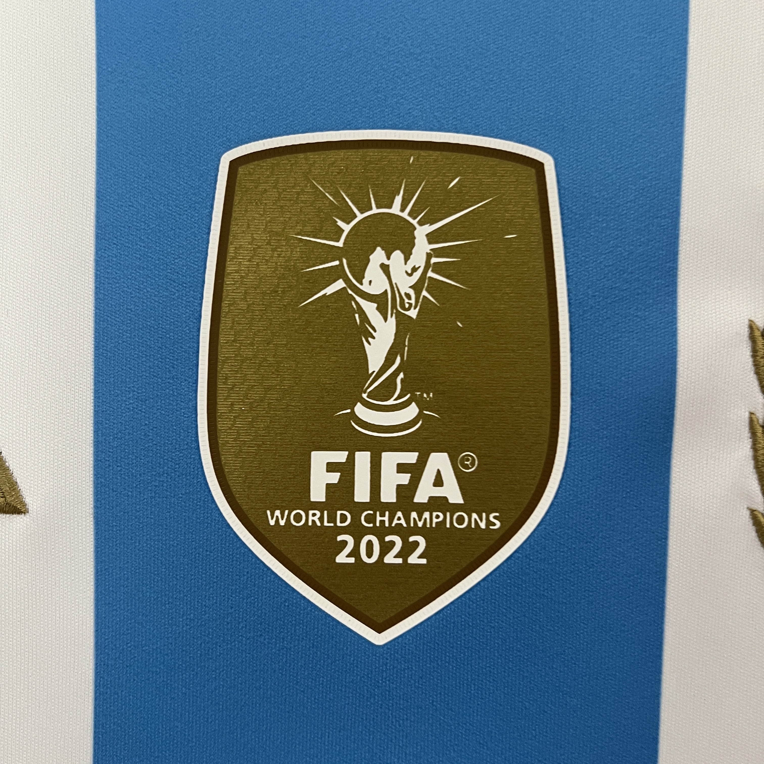 2024 Argentina Home Football Shirt (Fan Edition)