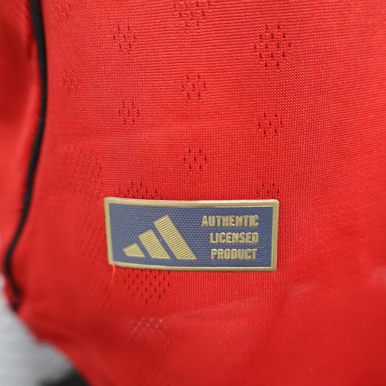 2026 Manchester United home ground  Football Shirt (Player version)