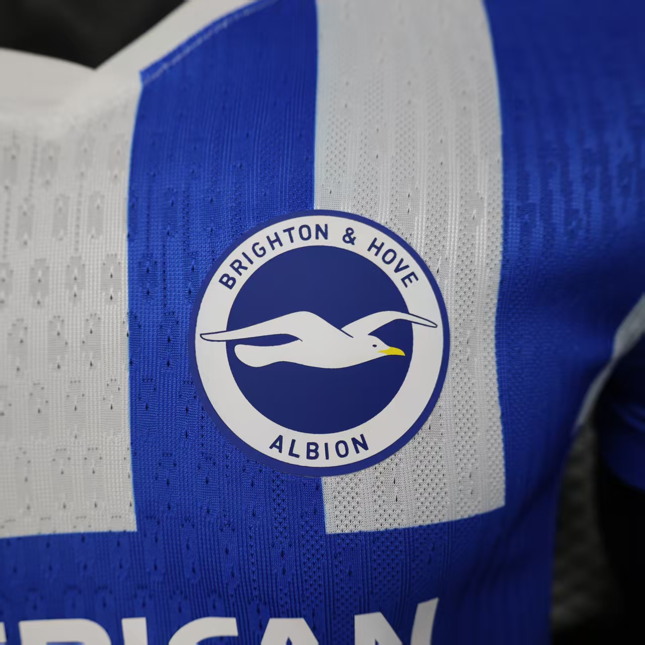 2025/2026 Brighton Home Football Shirt (Player Edition)