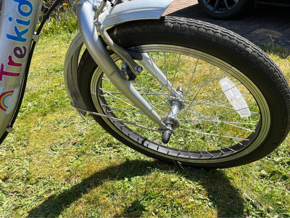 Trekidoo Trike