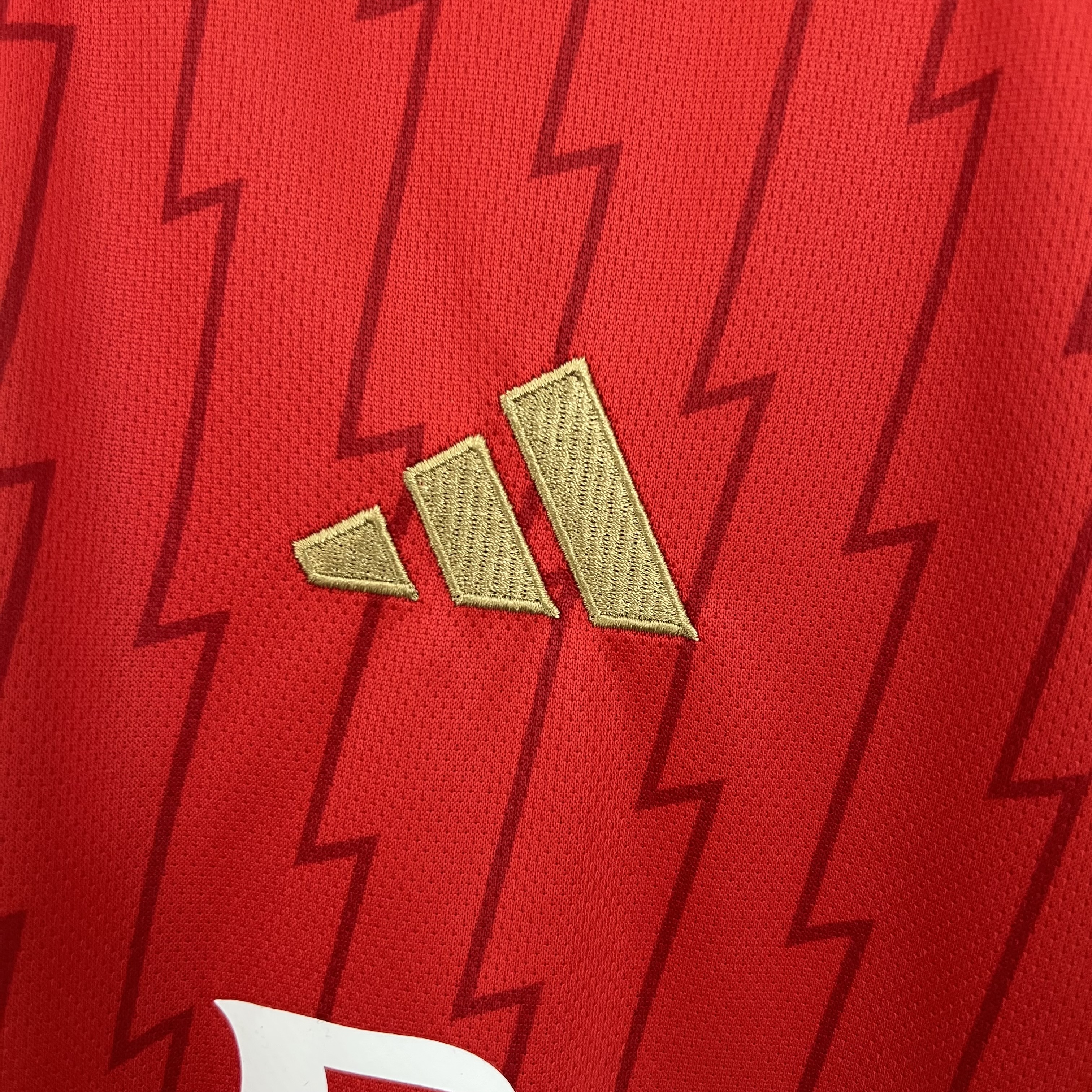 2023/2024 Arsenal Home Football Shirt (Fans)