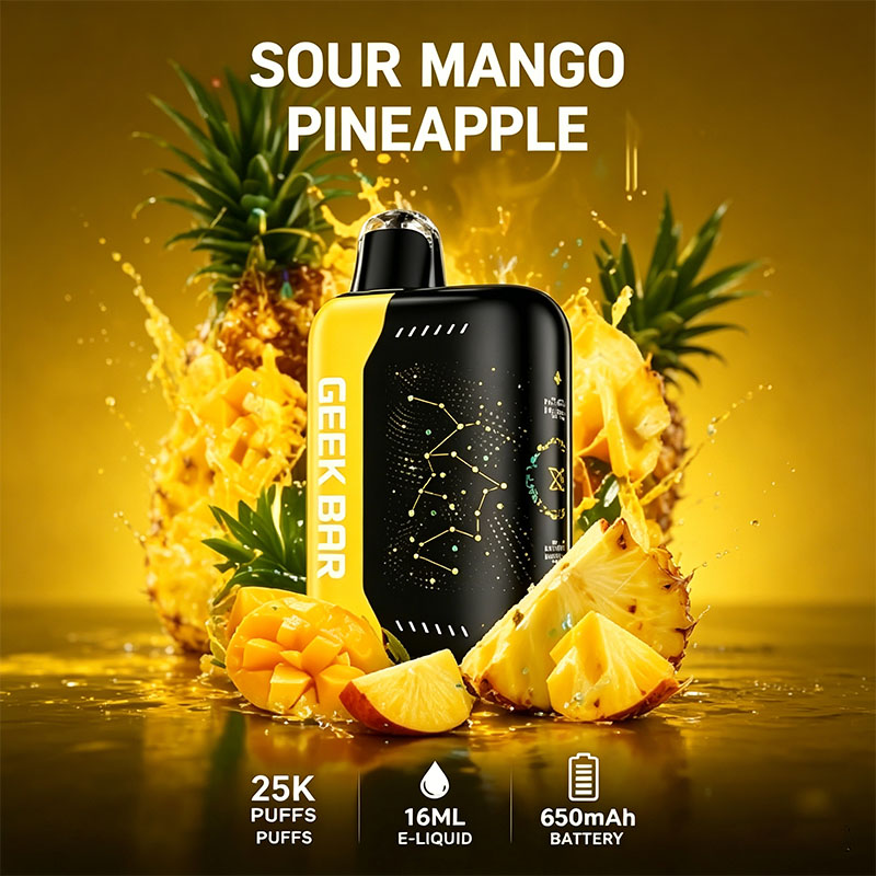 GEEK BAR PULSE X 25000 PUFFS - 10 Flavors 【3-5 days】