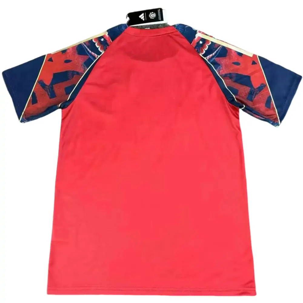 {{product_name}} High Quality Replica Football Jersey
