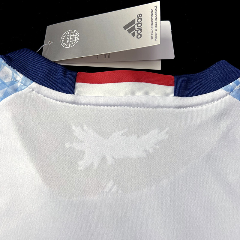 2016/2017 Japan Away Retro Football Shirt (Player Edition)