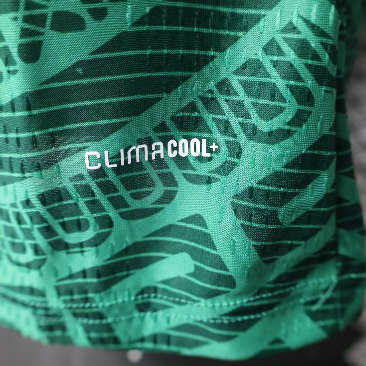 2026 Mexico Home Football Shirt （Player Edition）