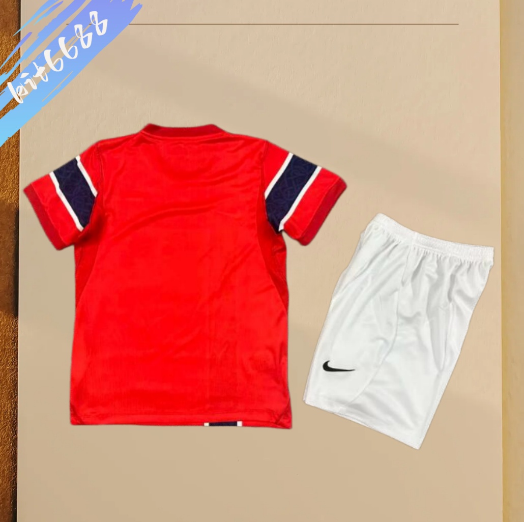 2026 Norway home football shirt (Kids Kit socks )