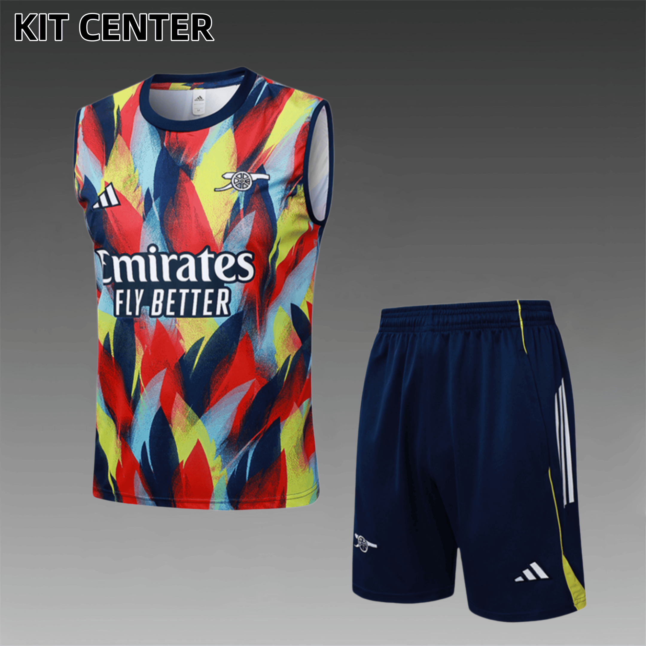 2025/2026 Arsenal Colored Adult Vest Training Wear (Adult Kit)