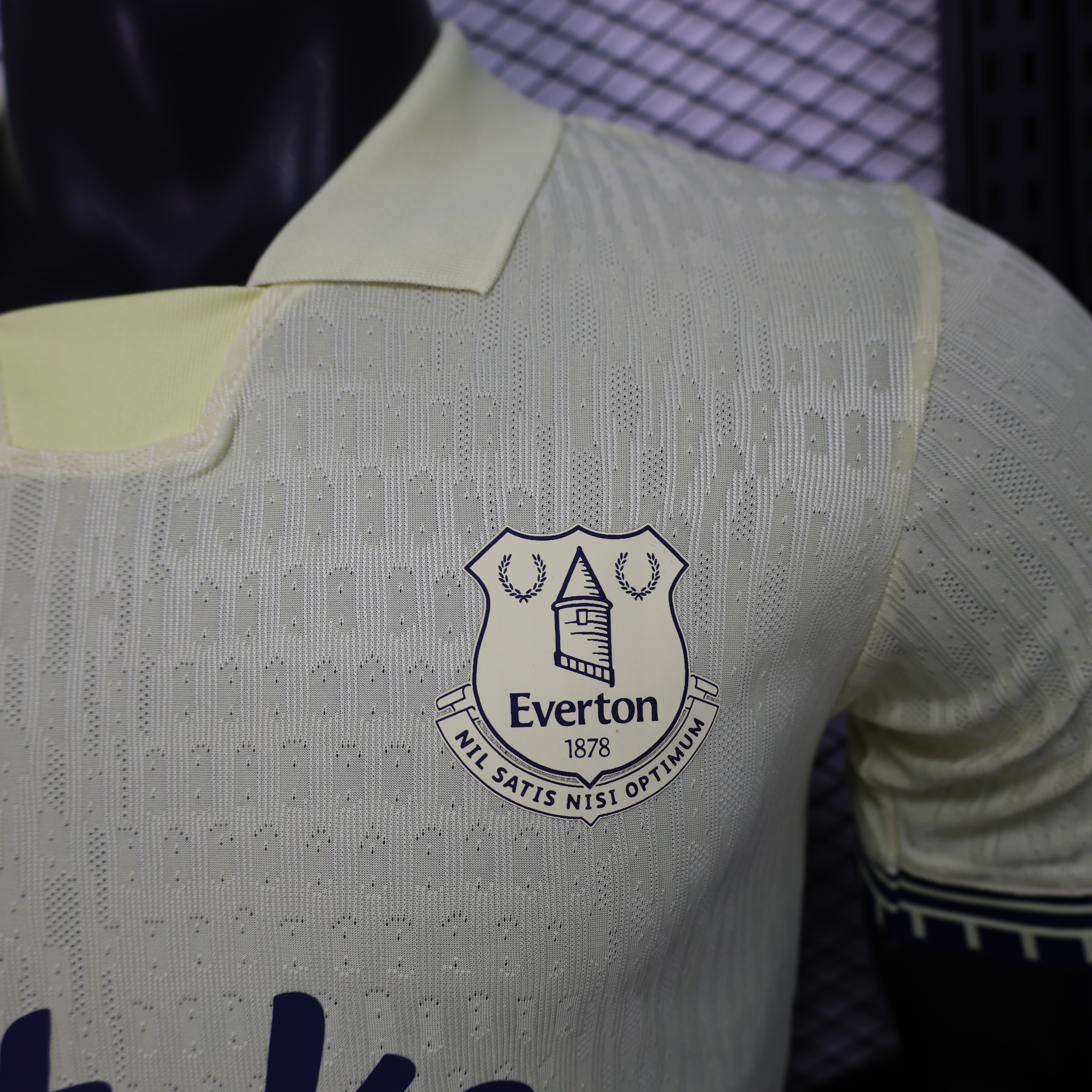 2025/2026 Everton Third Football Shirt (Player Edition)