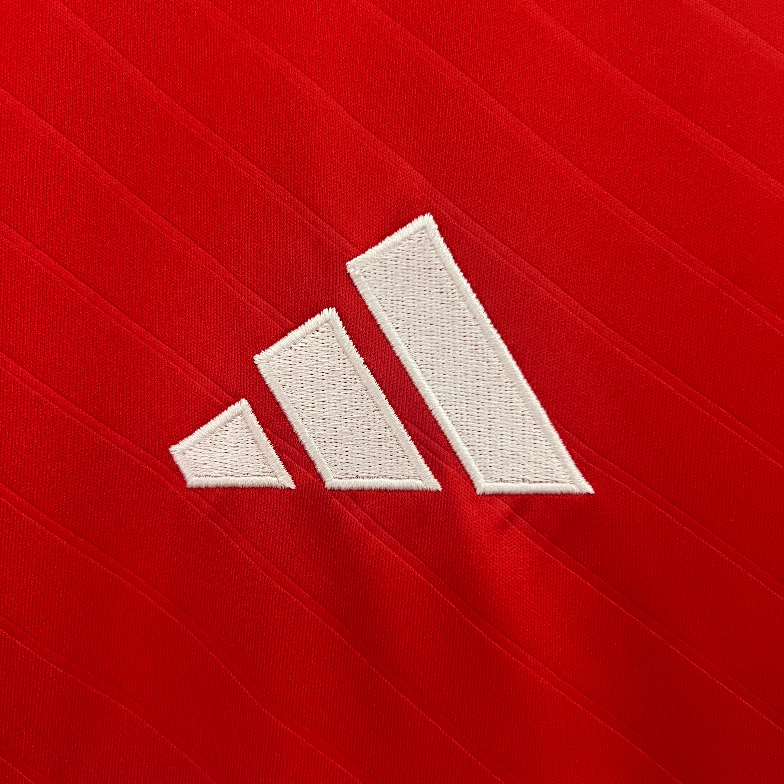 2024/2025 Benfica Football Club Home Football Shirt（Fan Edition）