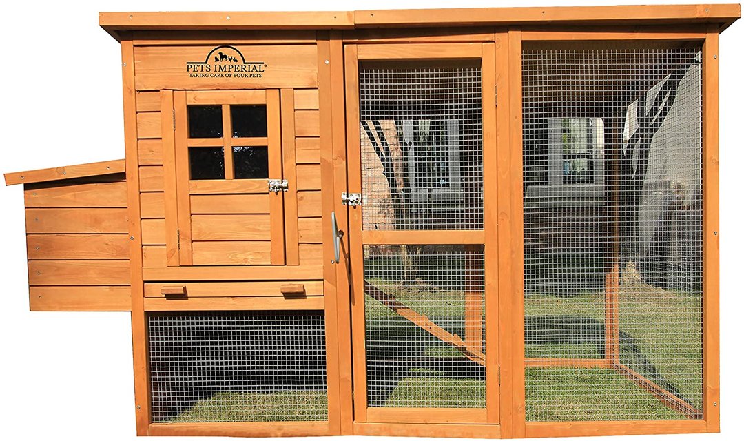 Chicken House Chicken House Poultry Box