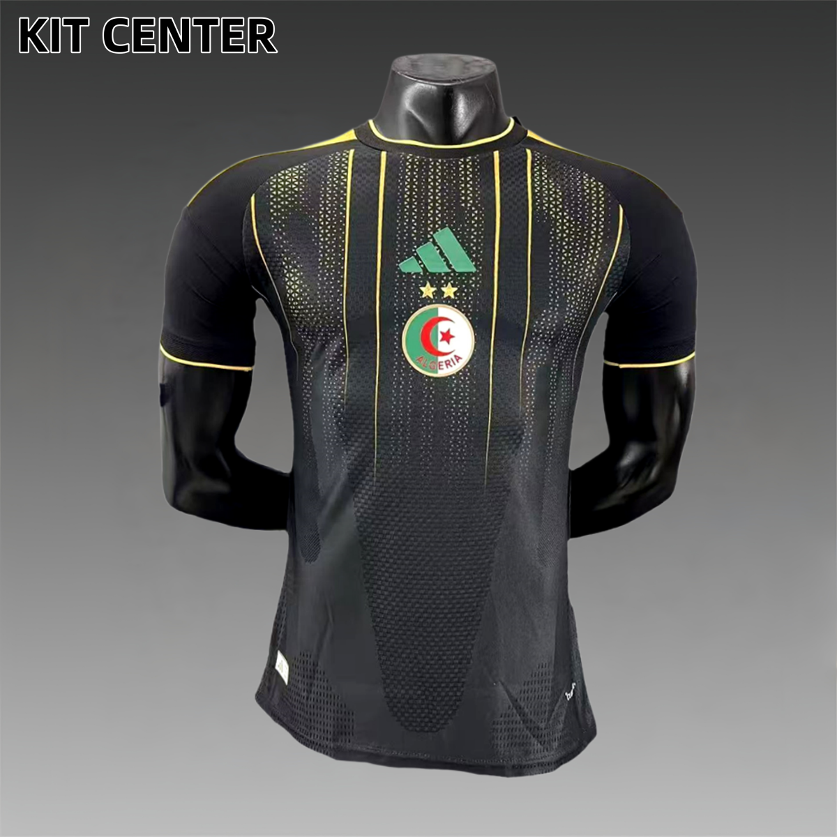 2026 Algeria Pre-match Training Football Shirt (Player Edition)