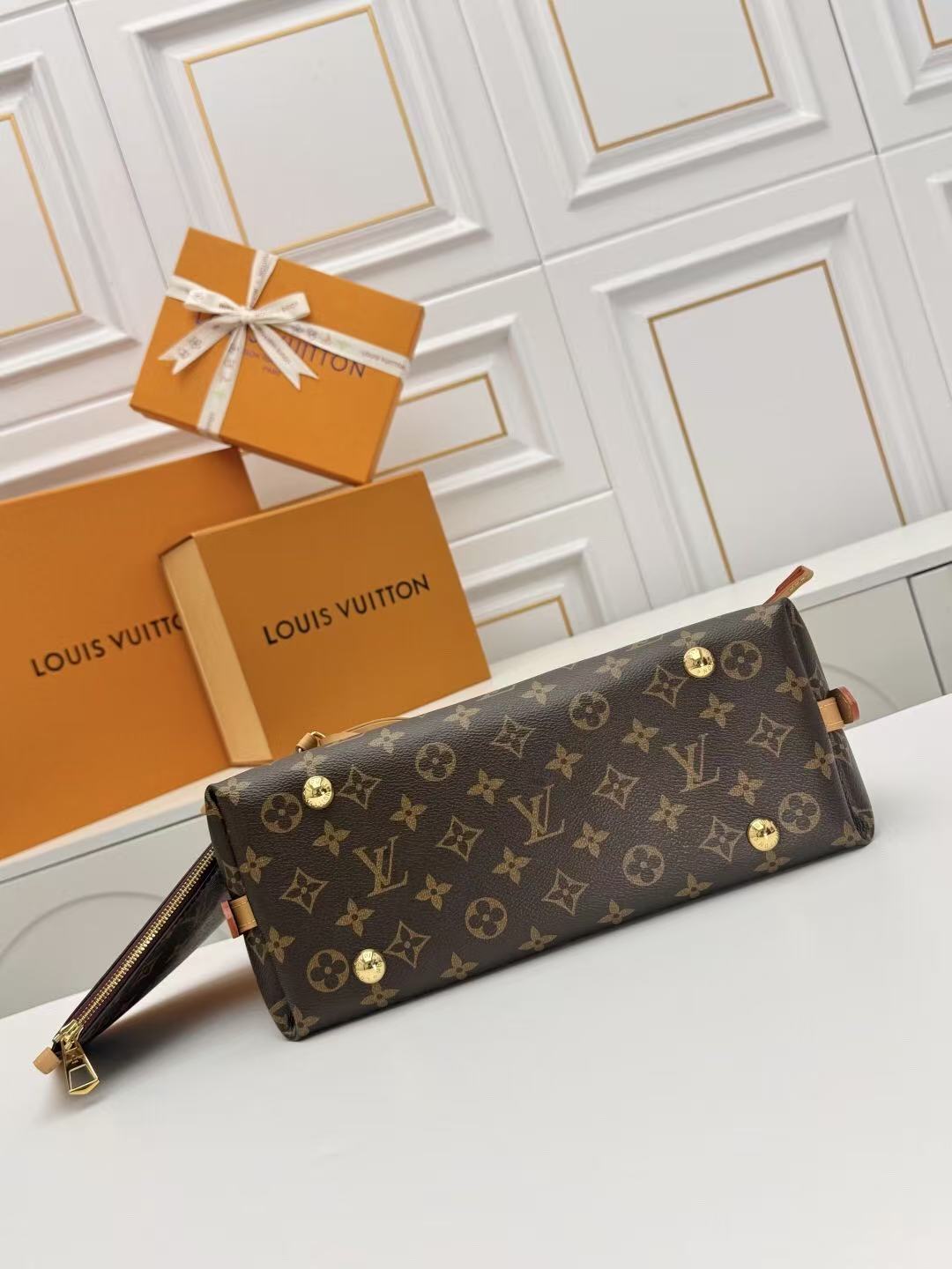 Louis Vuitton CarryAll Bag