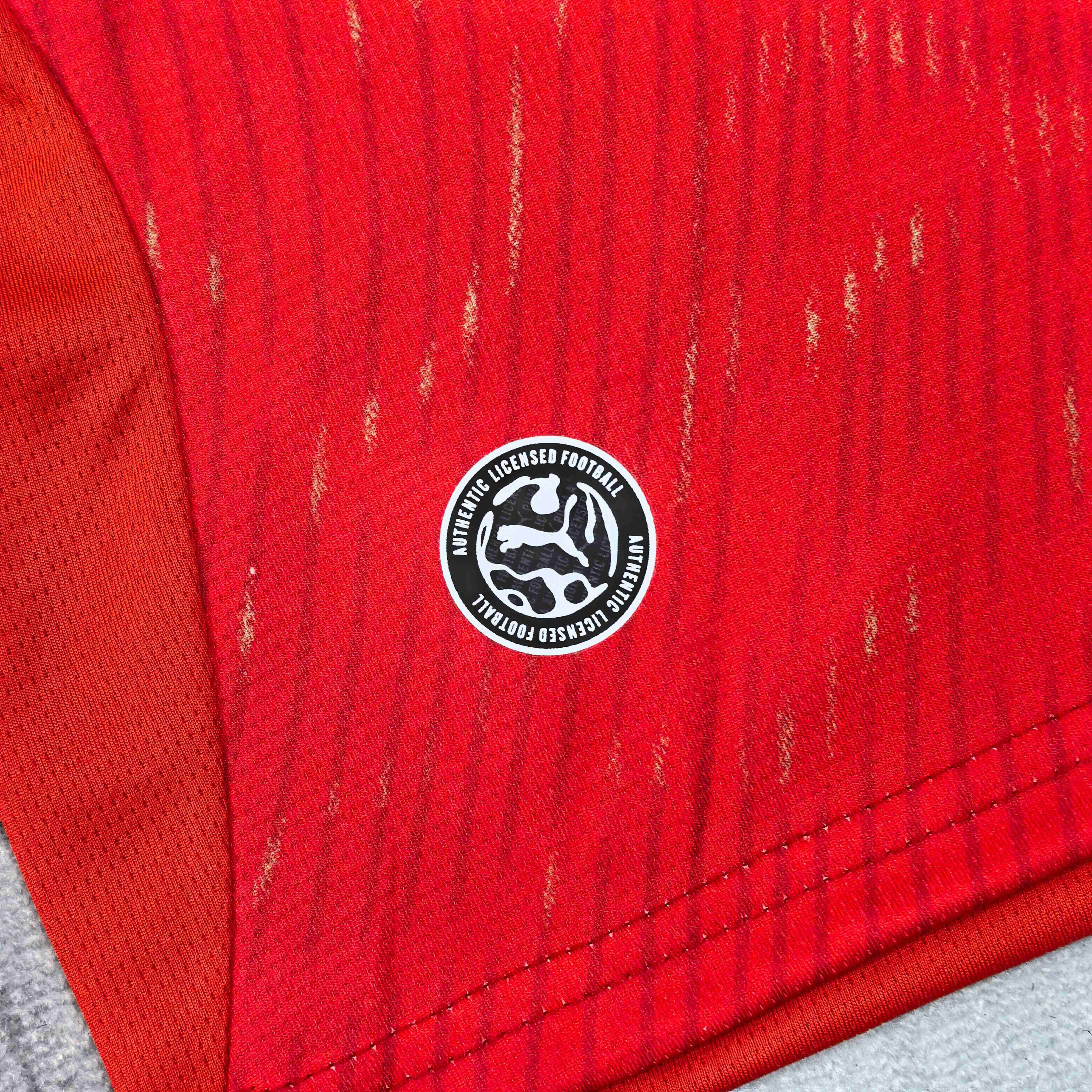 2025/2026 Switzerland Home Football Shirt (Fan Edition)