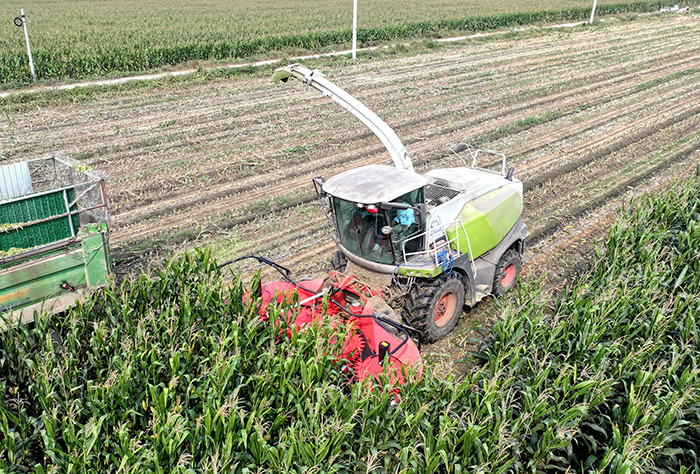 Forage Silage LS-M 4500 Header