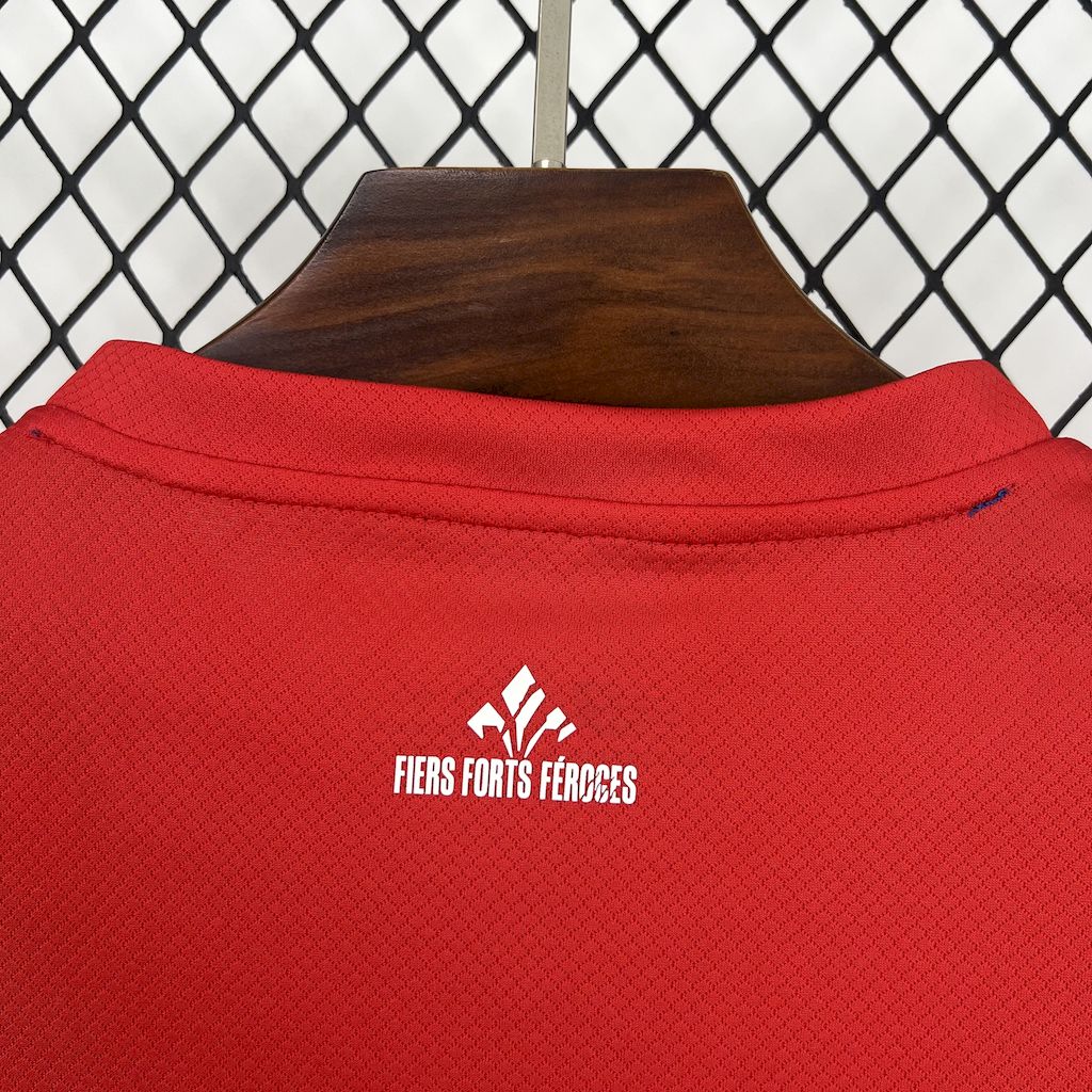 2025/2026 Lille Home Football Shirt (Fan Edition)