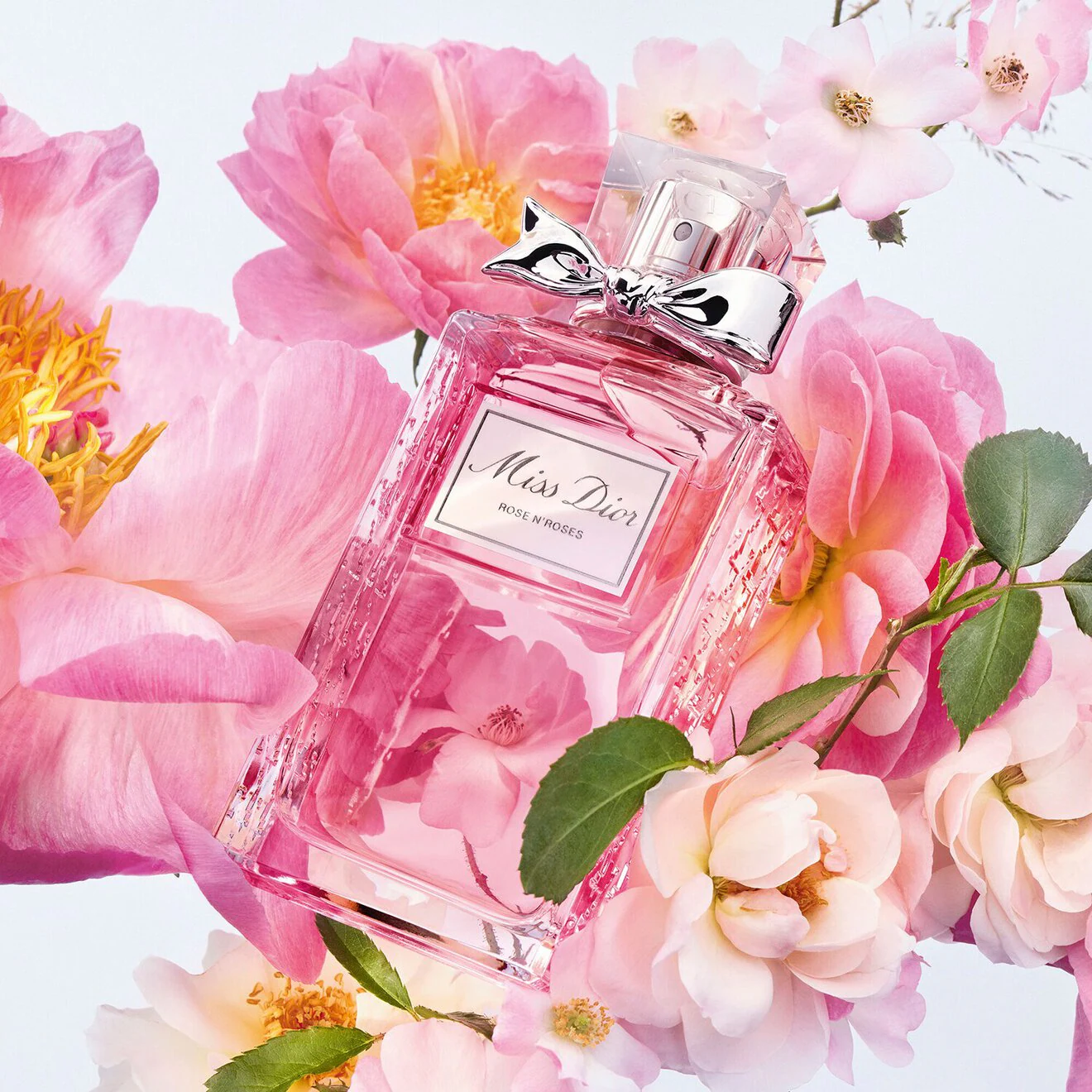 Dior Miss Dior Rose N'Roses - Eau de Toilette