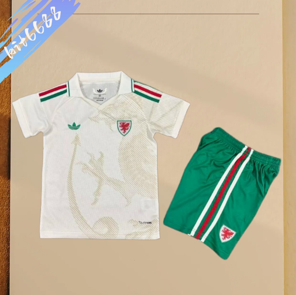2026 Wales Away football shirt (Kids Kit socks )