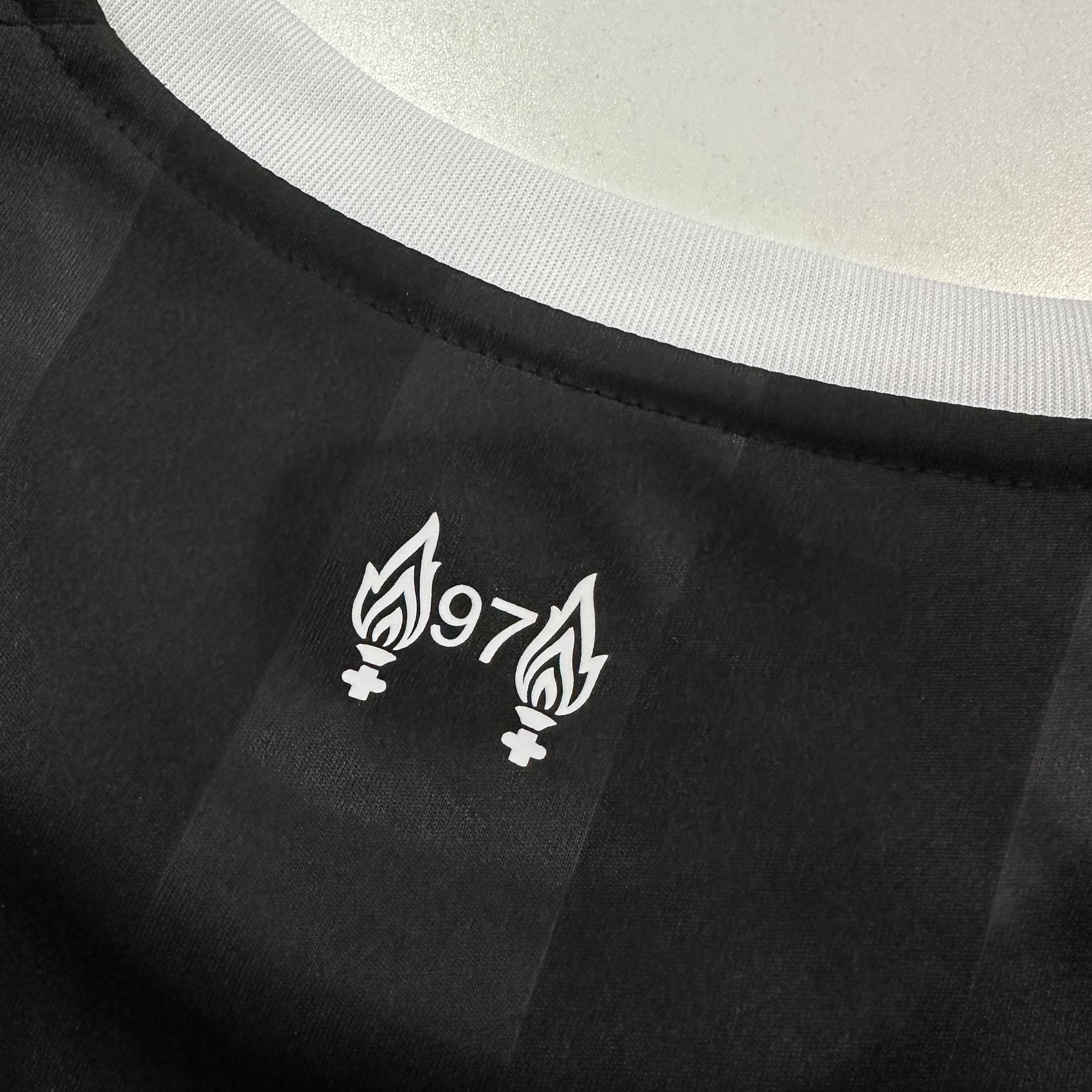 2025/2026 Liverpool Goalkeeper Black Football Shirt (Fans)